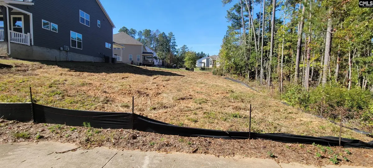 1005 Coogler Crossing Drive, Blythewood, SC 29016 - #1