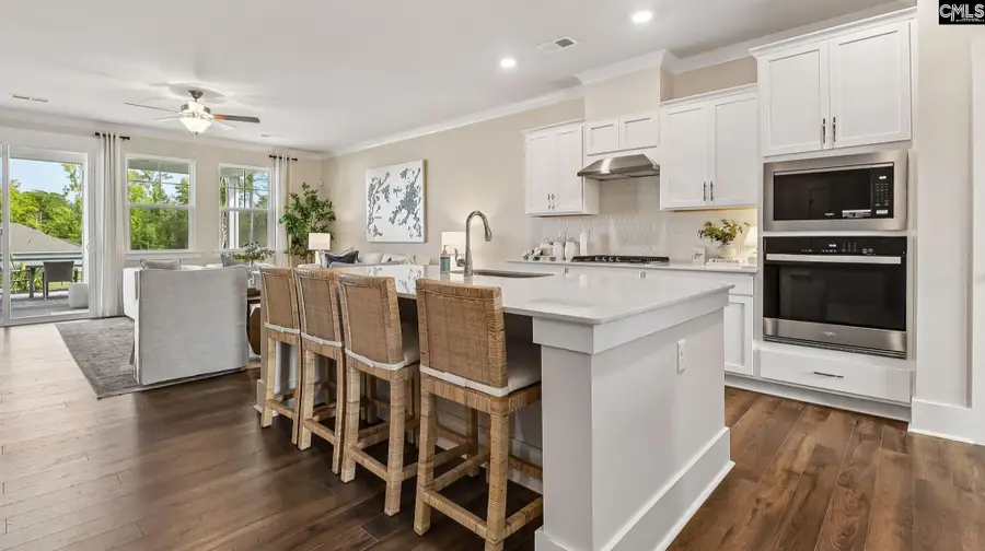 209 Sunny Stream Drive, Chapin, SC 29036 - #3