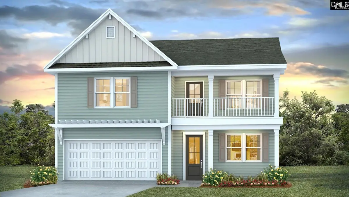 217 Sunny Stream Drive, Chapin, SC 29036 - #1