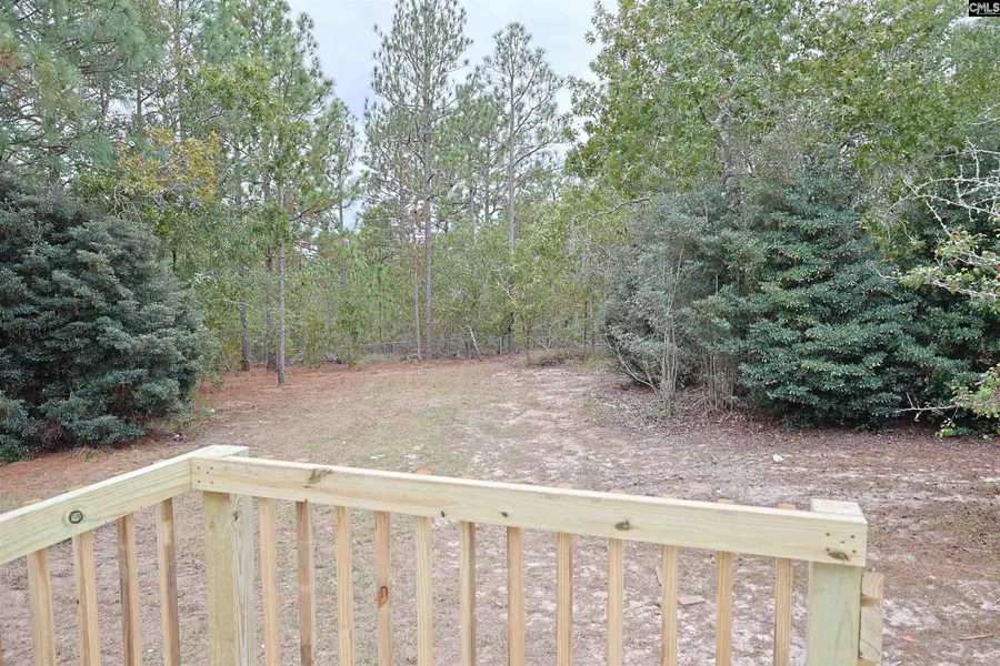 278 Wild Meadows Drive, Gaston, SC 29053 - #3