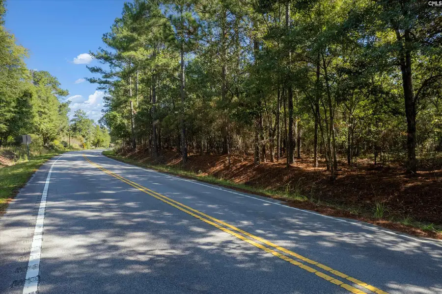 0000 Steele Road, West Columbia, SC 29170 - #2