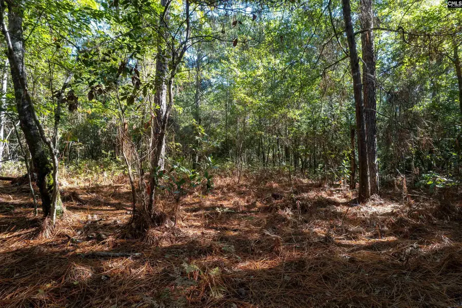 0000 Steele Road, West Columbia, SC 29170 - #3