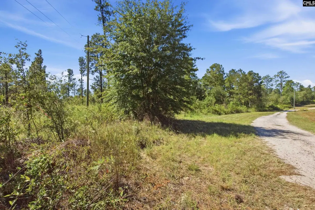 0 Martin Smith Road, Gilbert, SC 29054 - #1