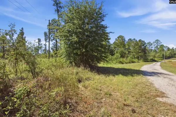0 Martin Smith Road, Gilbert, SC 29054
