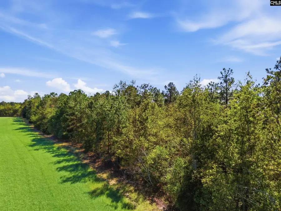 0 Martin Smith Road, Gilbert, SC 29054 - #3
