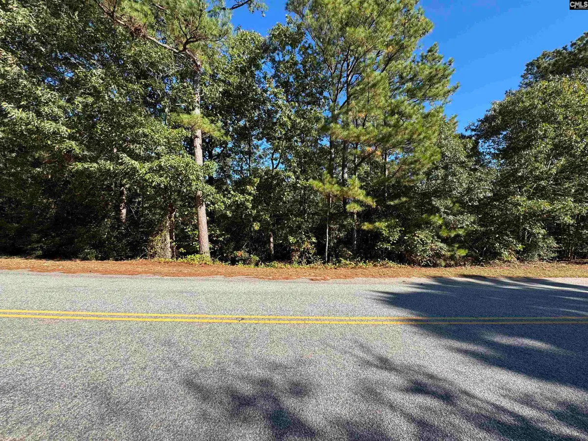 TBD Ruth Vista Rd, Lexington, SC 29073 - #1