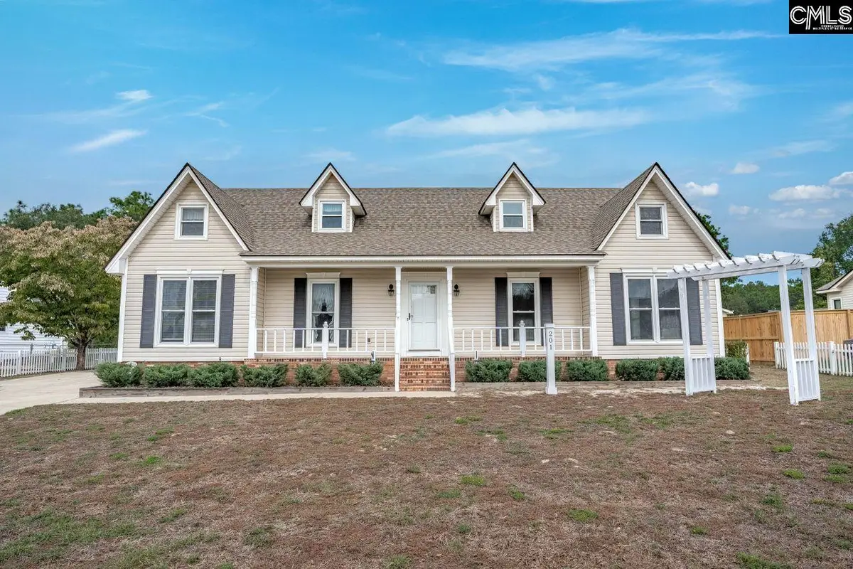 201 Lake Shire Drive, Lexington, SC 29073 - #1