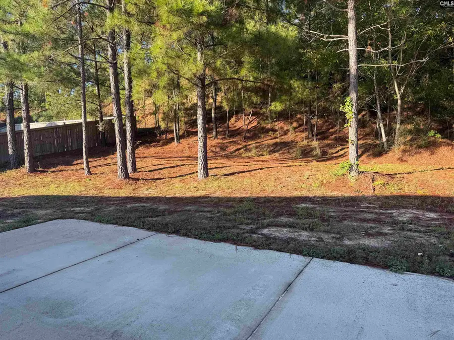 676 Old Orangeburg Road, Lexington, SC 29073 - #3