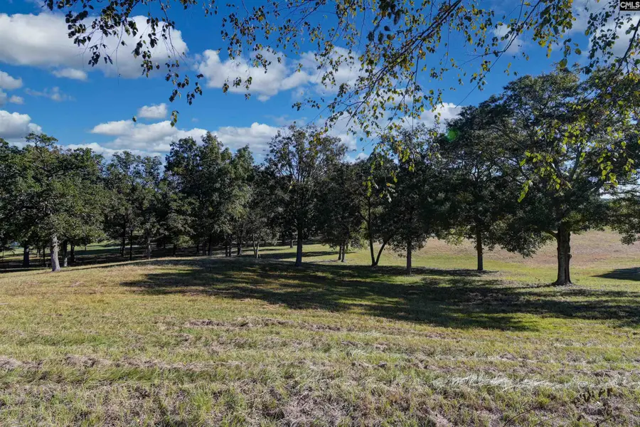 156 Big Sandy Road, Pelion, SC 29123 - #3