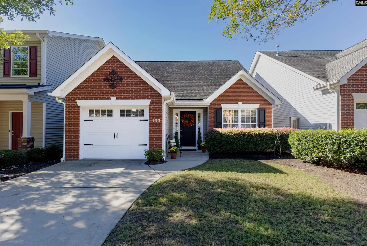 133 Chesterton Drive, Lexington, SC 29072 - #1