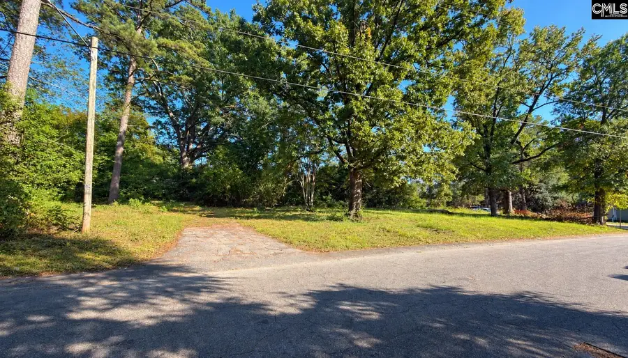 113 Duke Avenue, Columbia, SC 29203 - #3