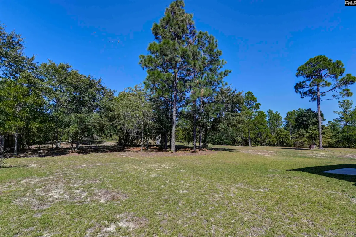 226 Crassula Drive, Lexington, SC 29073 - #1