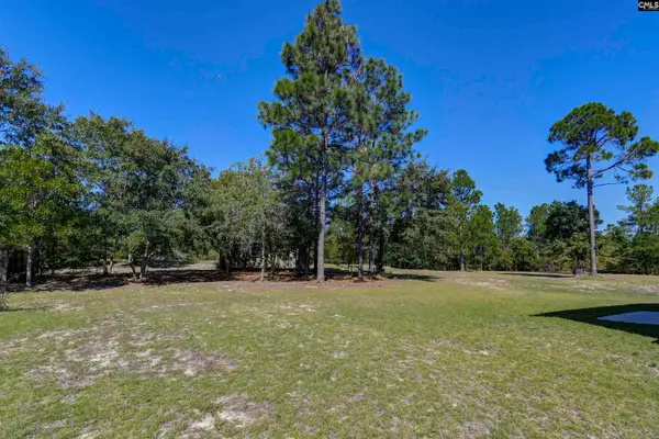226 Crassula Drive, Lexington, SC 29073