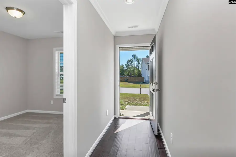 226 Crassula Drive, Lexington, SC 29073 - #2