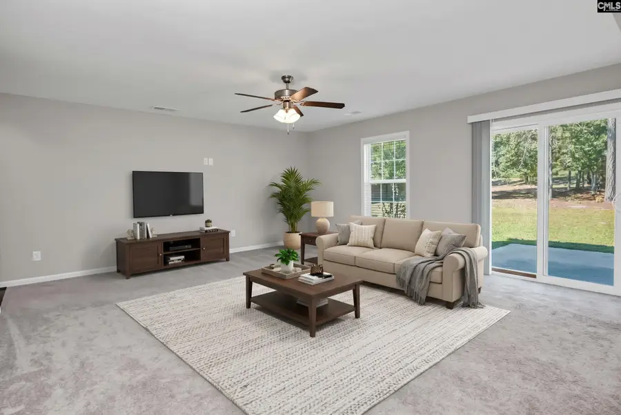 226 Crassula Drive, Lexington, SC 29073 - #3