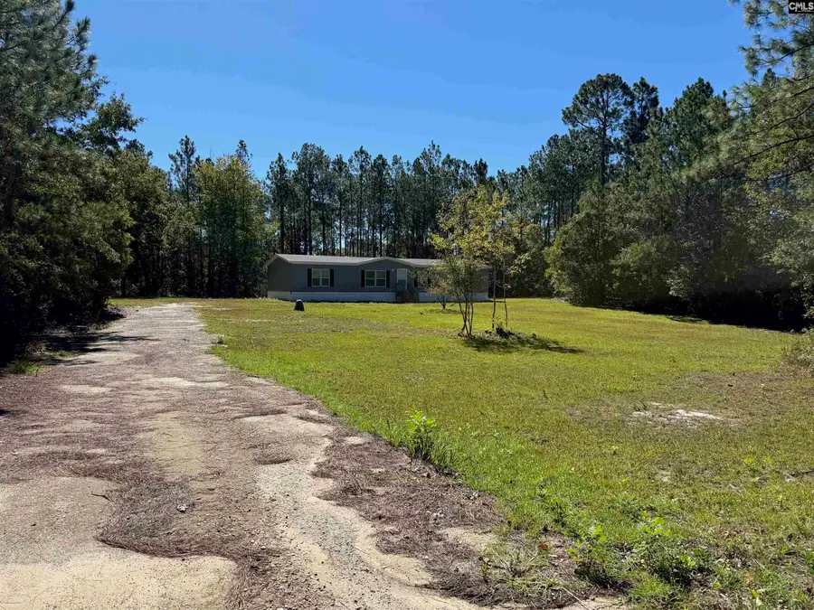 160 Hollow Stump Road, Pelion, SC 29123 - #2