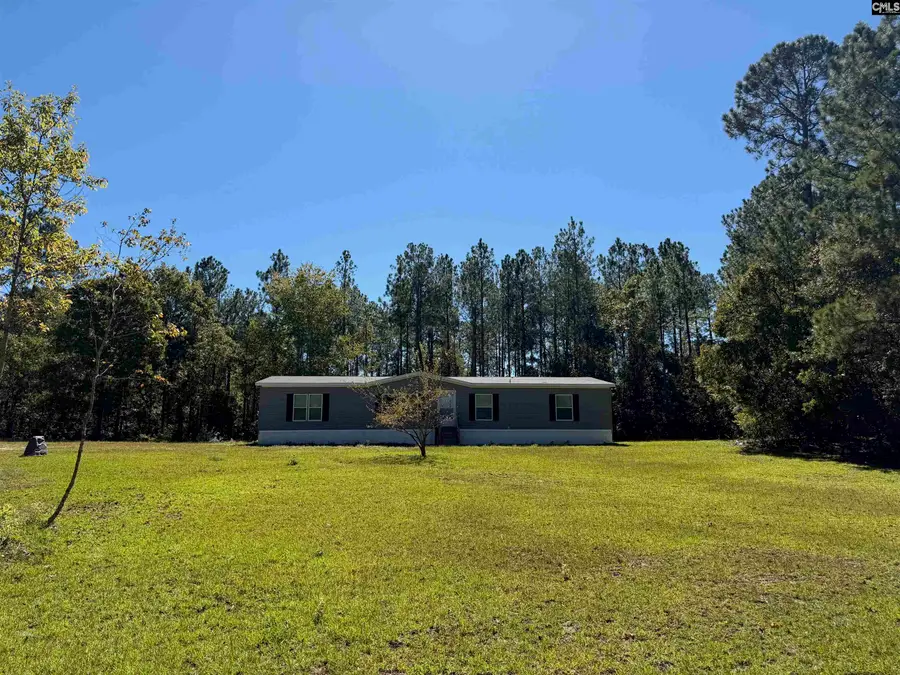160 Hollow Stump Road, Pelion, SC 29123 - #3