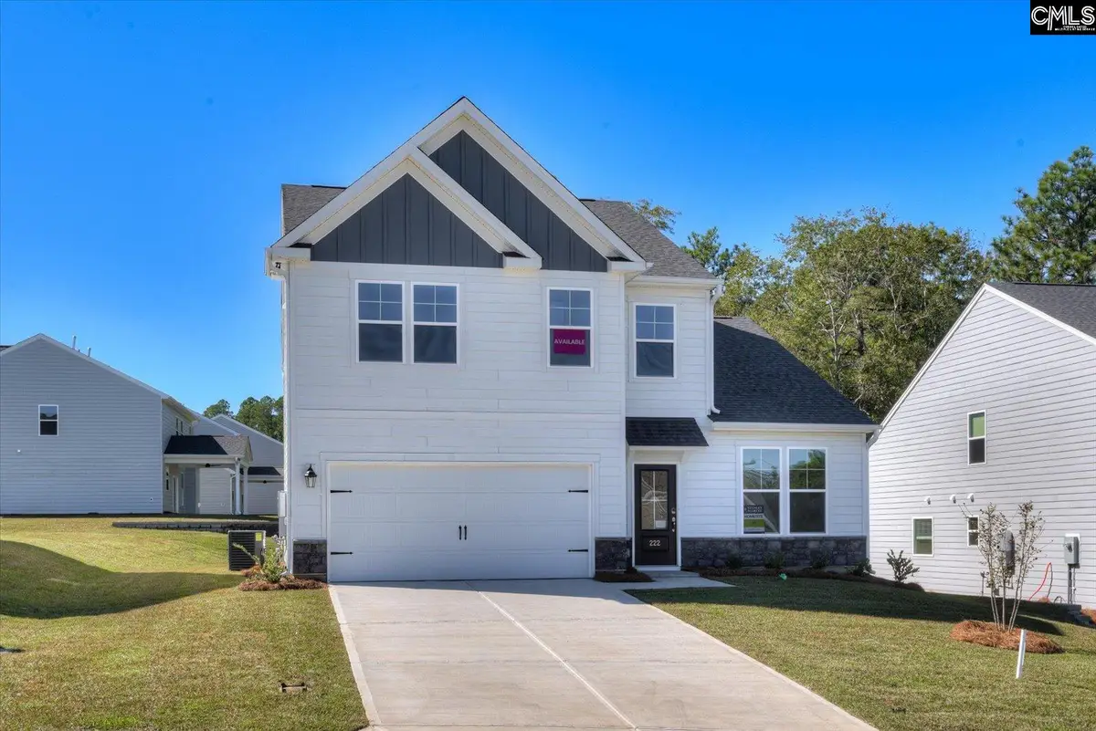 353 Grannys Cut Way, Chapin, SC 29036 - #1