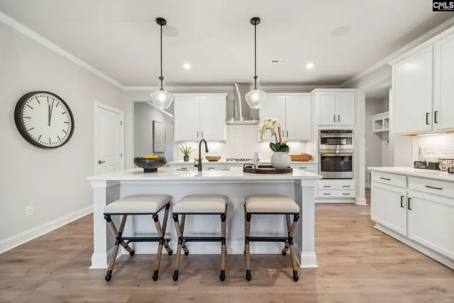 491 Grannys Cut Way, Chapin, SC 29036 - #3