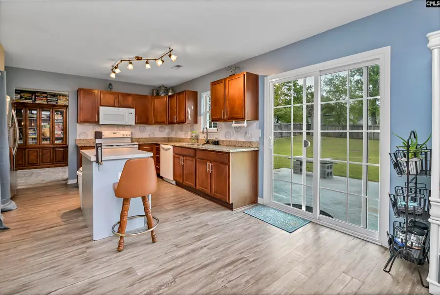 116 Wingspan Way, Chapin, SC 29036 - #2