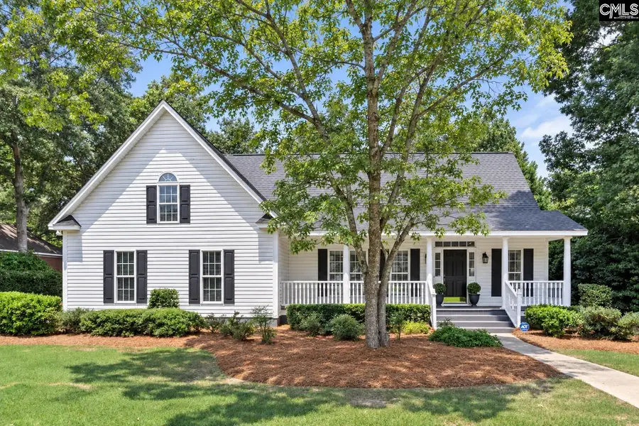 353 Vista Springs Circle, Lexington, SC 29072 - #2