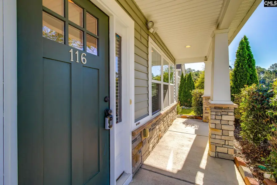 116 Baneberry Drive, Lexington, SC 29073 - #3