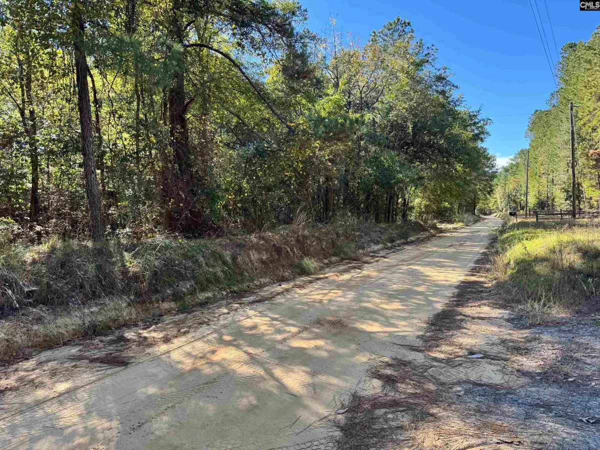351 Camp Branch Road, Leesville, SC 29070 - #1
