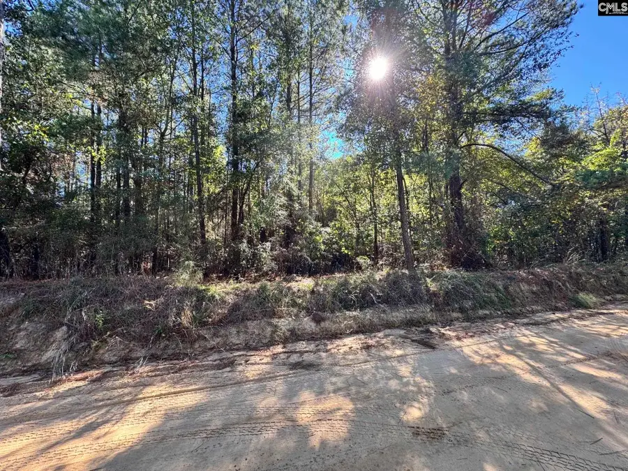 351 Camp Branch Road, Leesville, SC 29070 - #3
