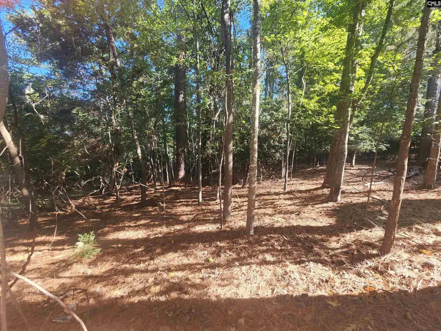 610 Timberlake Drive, Chapin, SC 29036 - #2