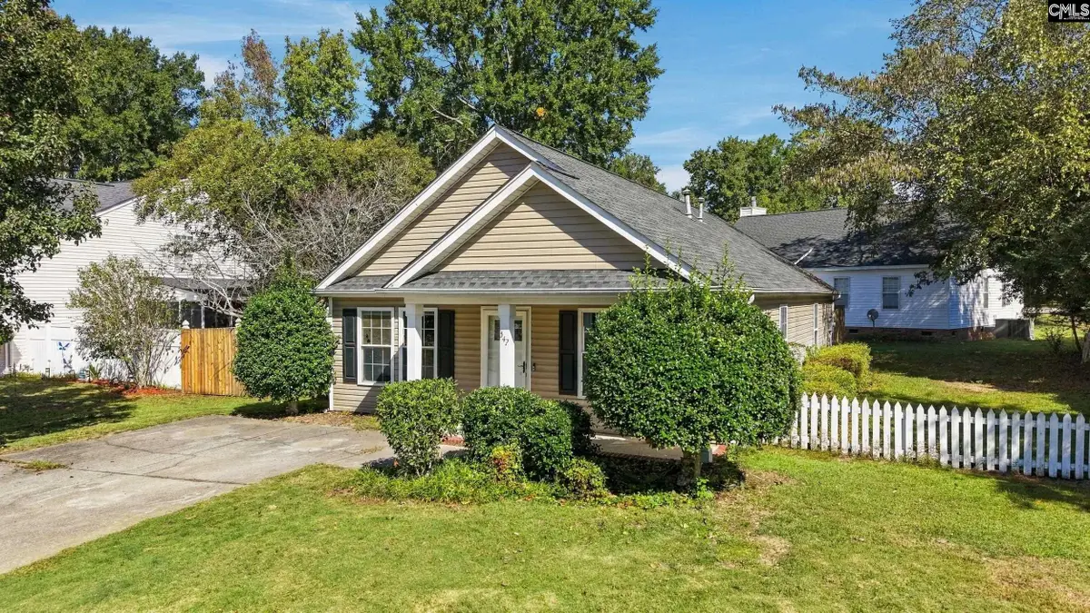 542 Chisolm Way, Lexington, SC 29073 - #1