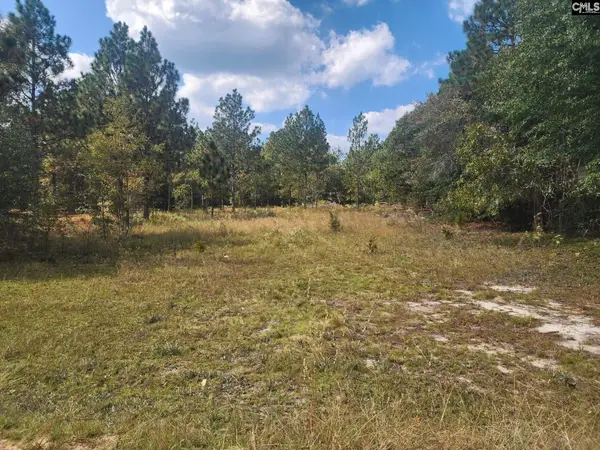 TBD Elijah Lane, Pelion, SC 29123