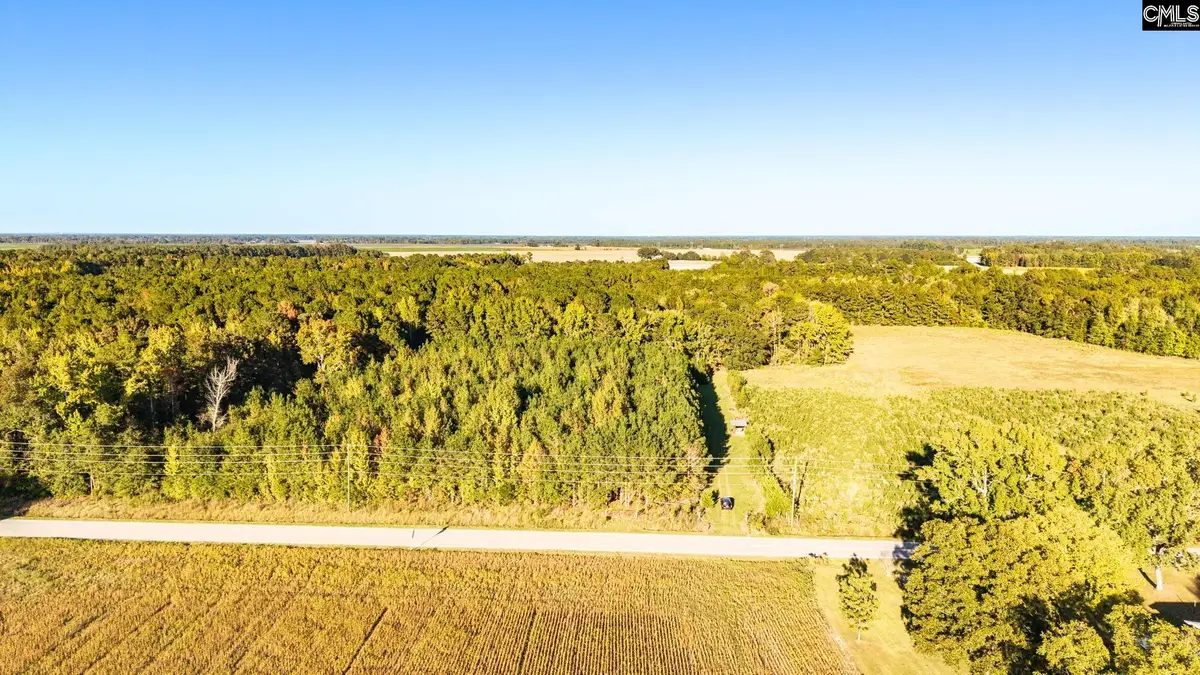 1675 Manville Saint Charles Road, Bishopville, SC 29010 - #1
