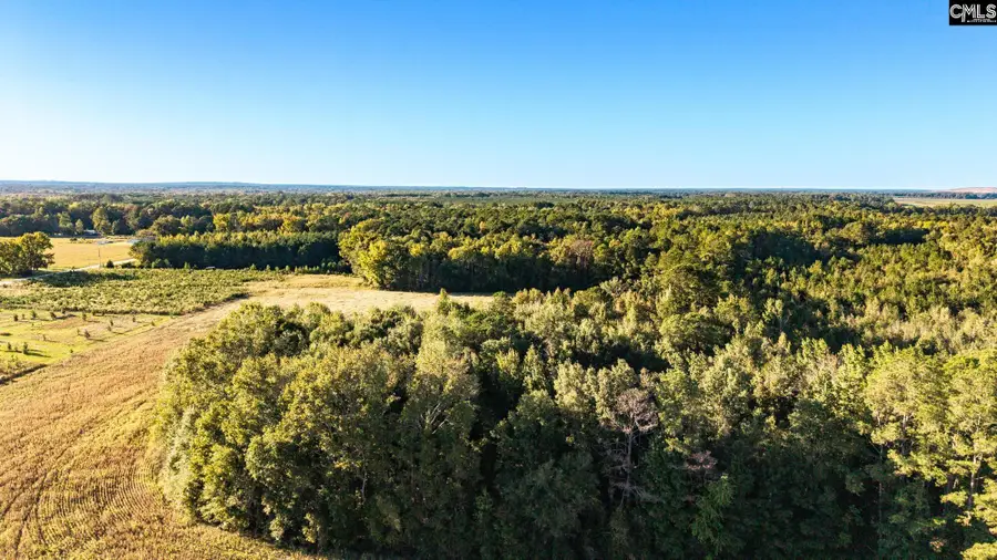 1675 Manville Saint Charles Road, Bishopville, SC 29010 - #3