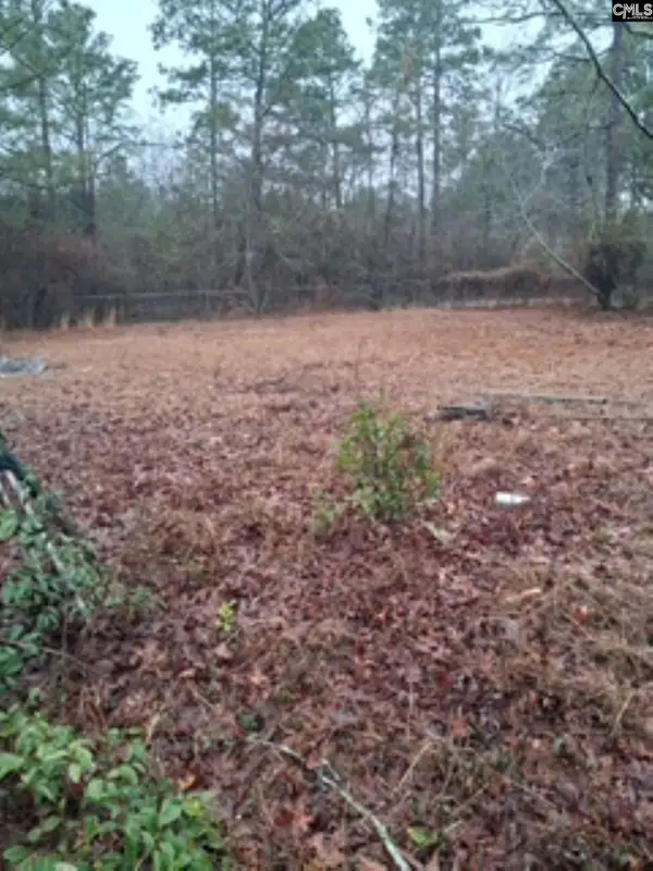 114 Burnt Pine Court, Leesville, SC 29070