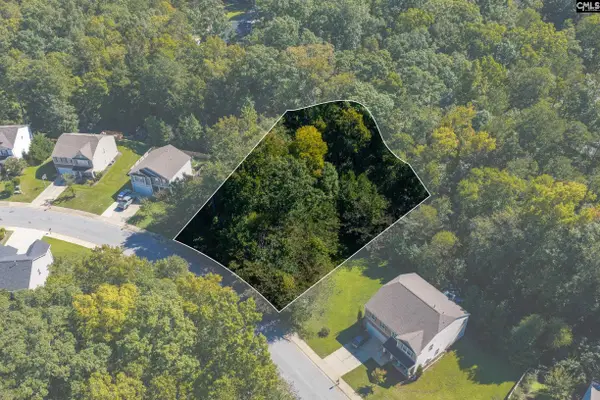 215 Woolbright Lane, Chapin, SC 29036