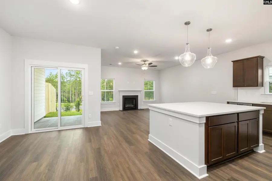 16 Fawn Spot Court, Elgin, SC 29045 - #2