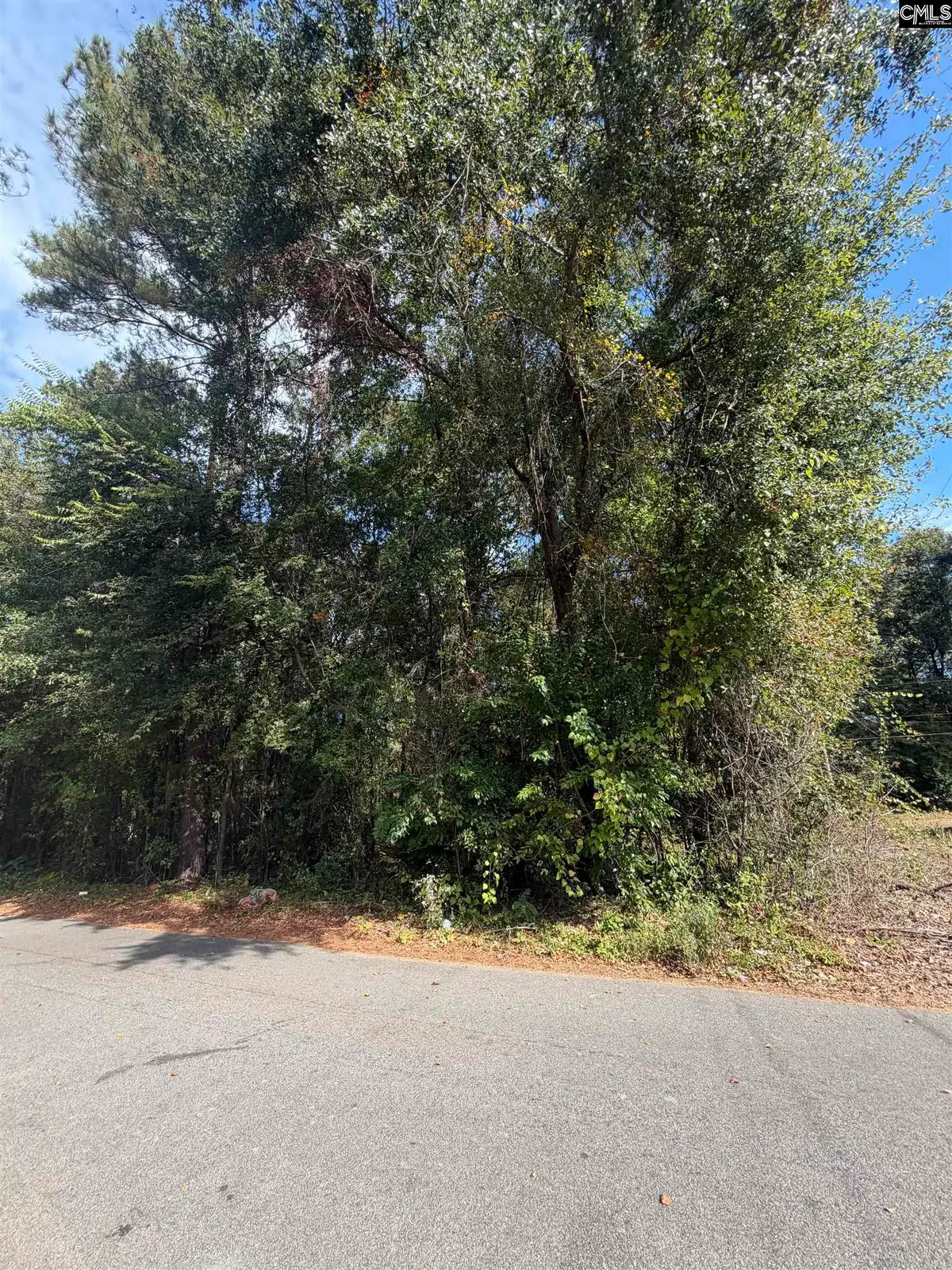 4327 Surfwood Drive, Columbia, SC 29209 - #1