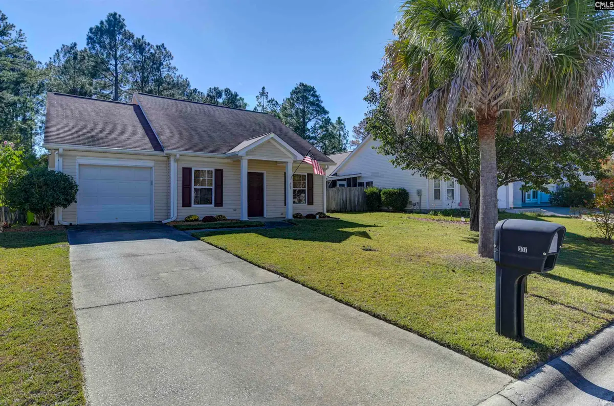 307 Lockleven Drive, Columbia, SC 29223 - #1