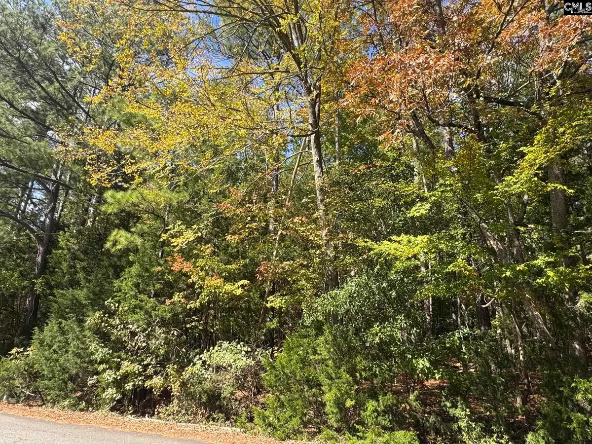 Lot 3 E. Selwood Lane, Columbia, SC 29212 - #1