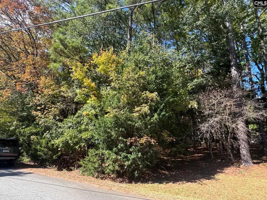 Lot 3 E. Selwood Lane, Columbia, SC 29212 - #2