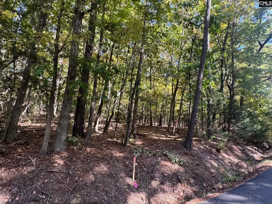 Lot 3 E. Selwood Lane, Columbia, SC 29212 - #3