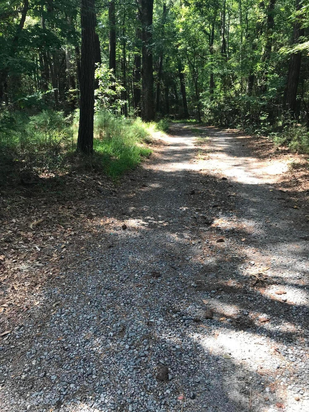 5546 Chisolm Road, Johns Island, SC 29455 ERA