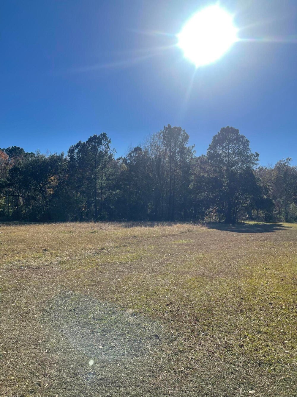 187 Bobs Corner Drive, Moncks Corner, SC 29461 ERA