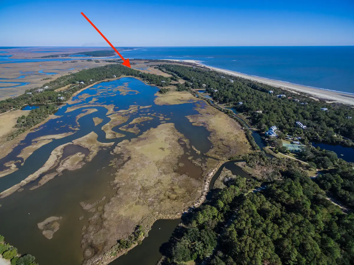 203 Lake Timicau Lane, Dewees Island, SC 29451 - Image #1