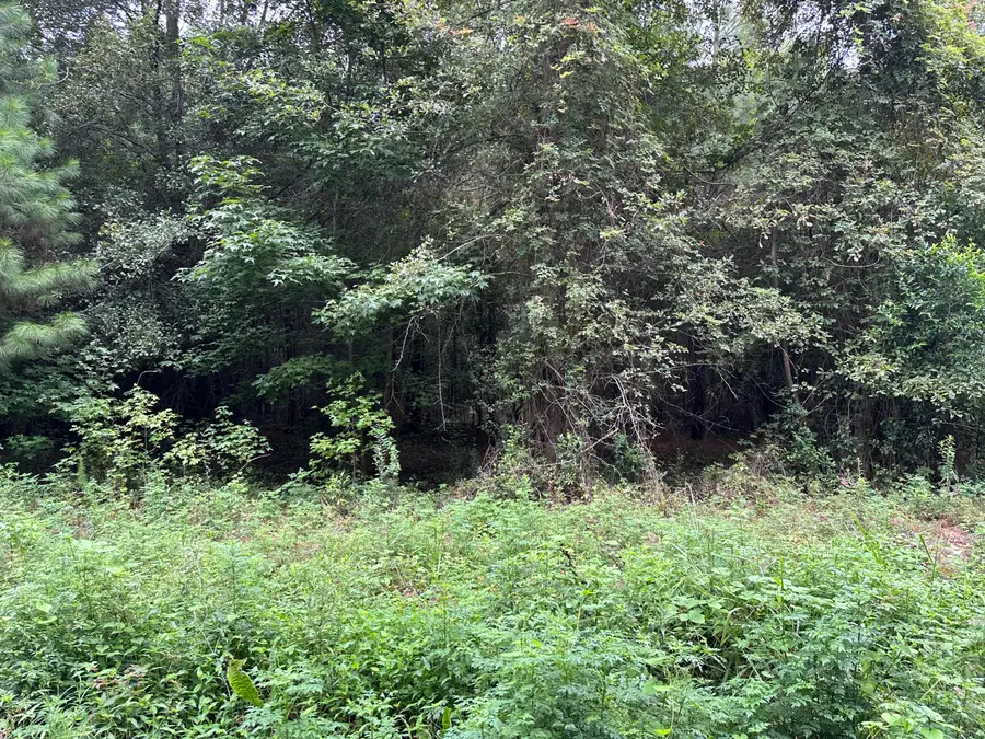 200 Barkley Street, Eutawville, SC 29048 - Image #3