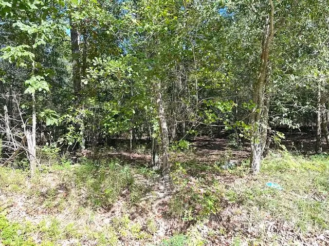 0 A Acorn Lane, Santee, SC 29142 - Image #2