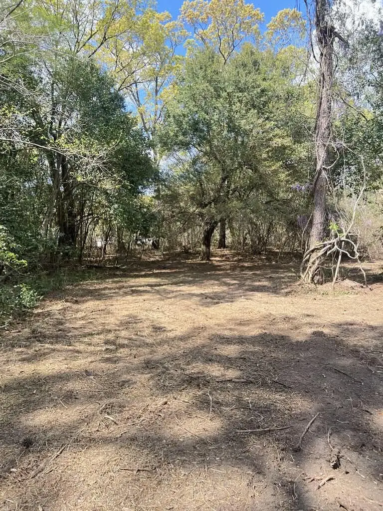 111-A Roberta Drive, Eutawville, SC 29048 - Image #3