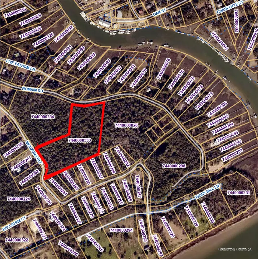 002 Romain Road #Tract 1-C, McClellanville, SC 29458 - #2