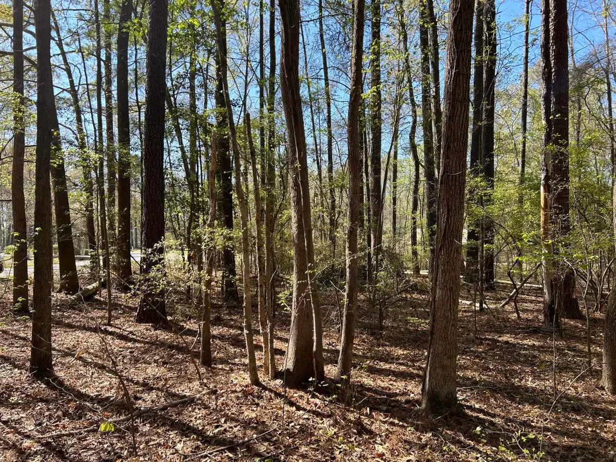 0 Ridge Road, Cheraw, SC 29520 - #1