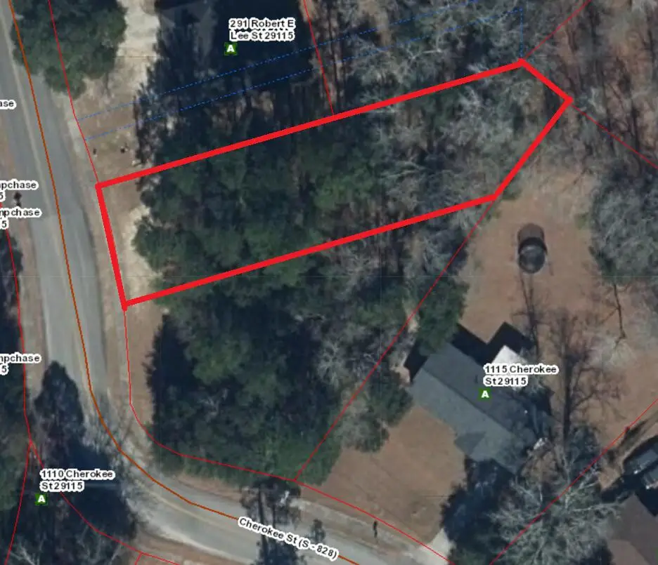 0 Robert E Lee Street, Orangeburg, SC 29115 - Image #1